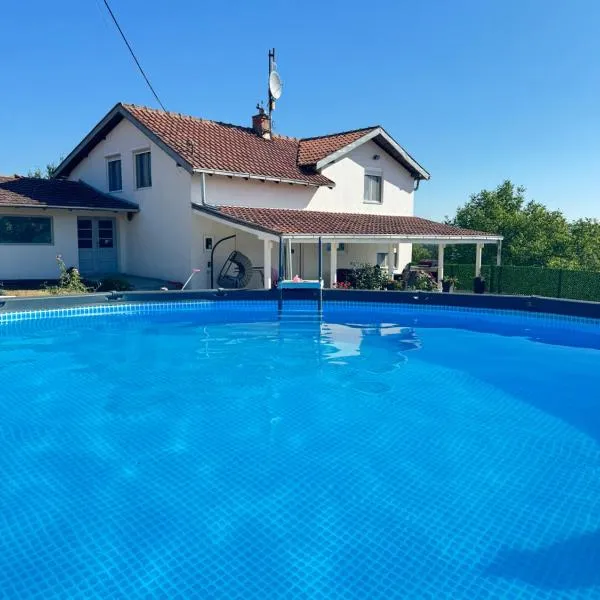 Villa Perla, hotel v destinaci Despotovac