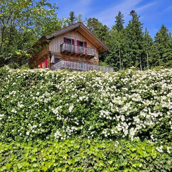 Großes Ferienhaus mit 5 Schlafzimmer & 4 Bäder, hotel in Pöllauberg