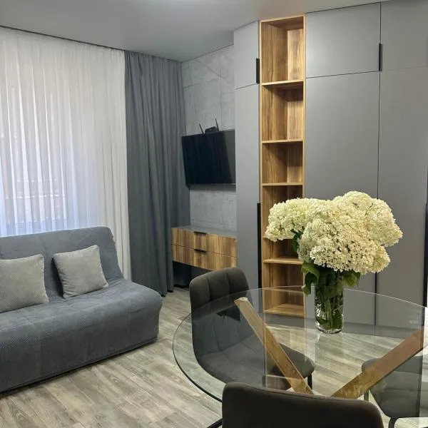 Студія на Герцена-Володимира Великого, hotel in Chernivtsi
