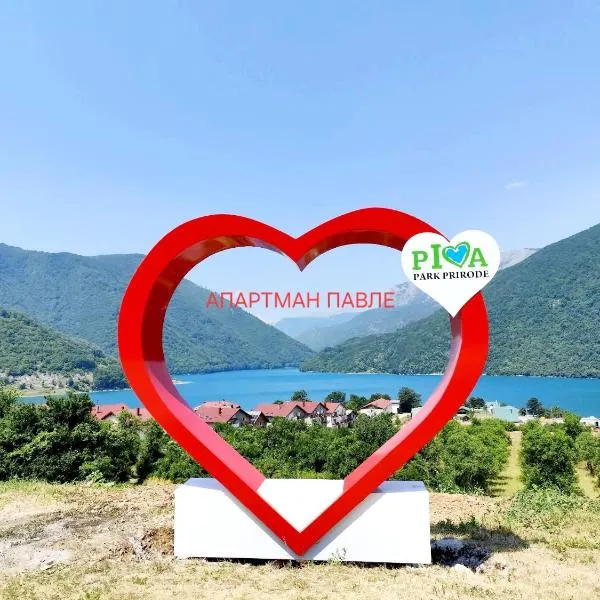 Apartman PAVLE, hotel in Pluzine