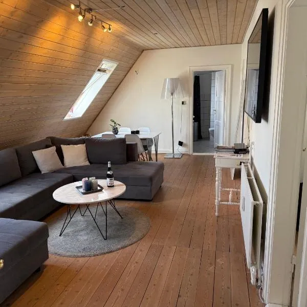 Penthouse apartment in Esbjerg townhouse, hotel v destinaci Esbjerg