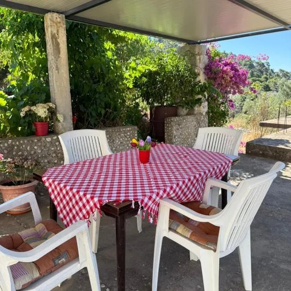 Apartman Desa Babino zlato, hotel in Goveđari