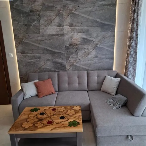 Apartament Wanda z tarasem widokowym na jezioro, hotel en Charzykowy