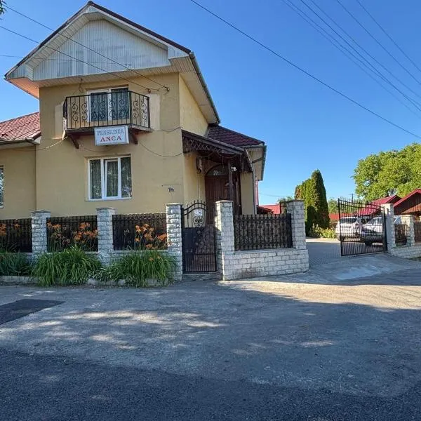 Pensiunea Anca Sapanta-primeste carduri de vacanta, hotel in Săpînţa