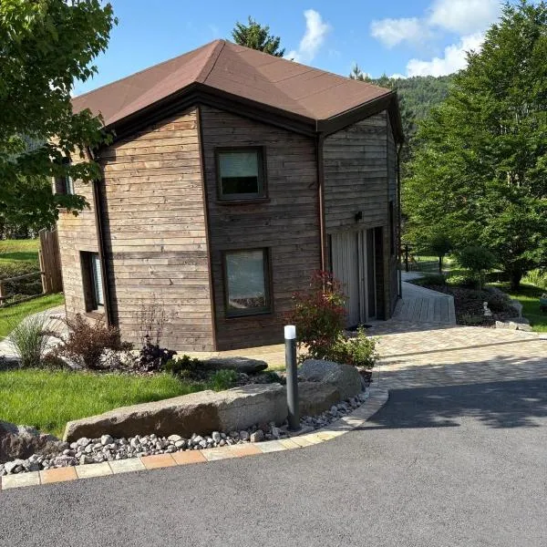 Gîte La Lanterne Location PMR Vosges avec spa, jacuzzi, vue montagne, 6 pers, hotel in Laveline-du-Houx