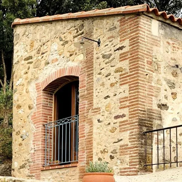 Mas Saint Michel, hotel en Vivès