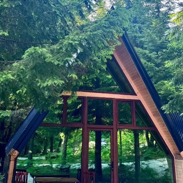 Forest View Villas & Treehouses, hotel v destinaci Valbonë