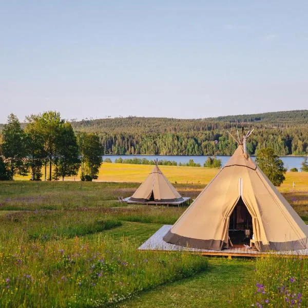 Förland Sunnemo, hotel in Sunnemo