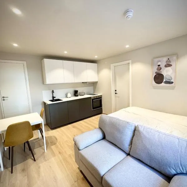Bright & Cozy Studio - Central Location, hotel in Oslo