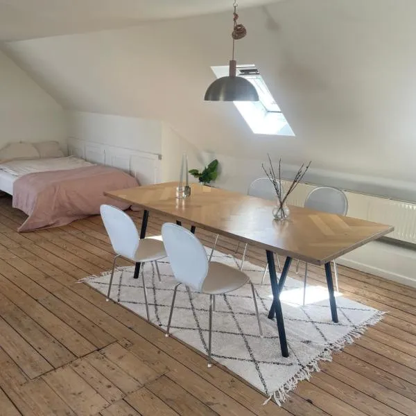 Udlejning af to værelser med udsigt til parken beliggende i centrum, hotel v destinaci Odense