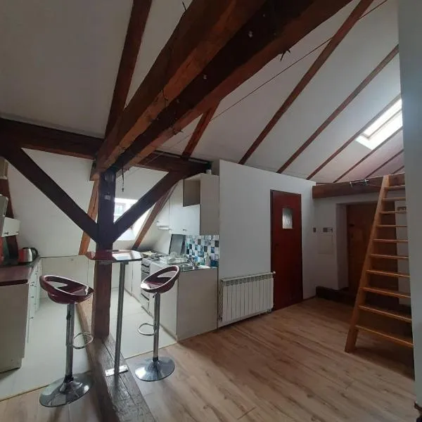 Loft przy Starym Mieście, hotel in Jarosław