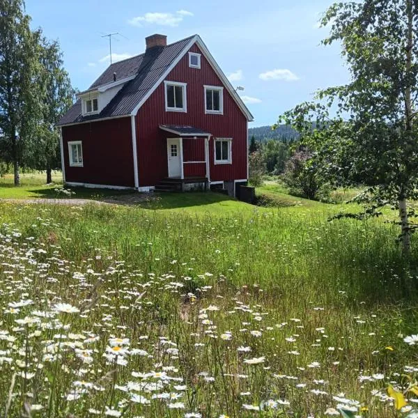 House in the middle of forests and lakes, hotel v destinaci Svartträsk