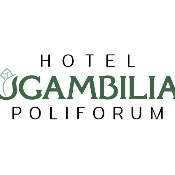 Hotel Bugambilias Poliforum, hotel v destinaci León