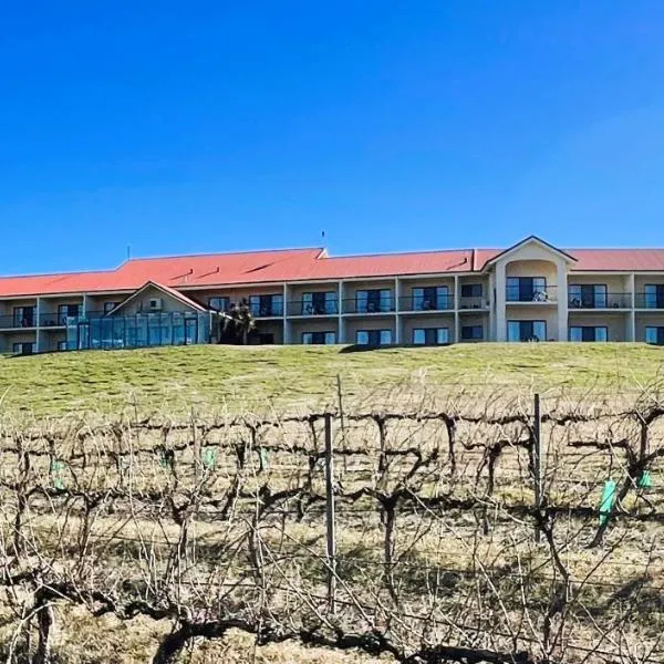 Turners Vineyard Motel, hotel v destinaci Orange