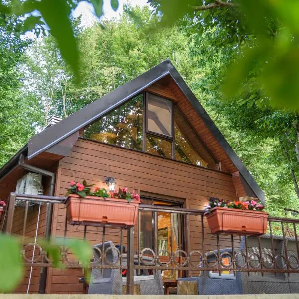 Mountain harmony Lovćen, hotel in Cetinje