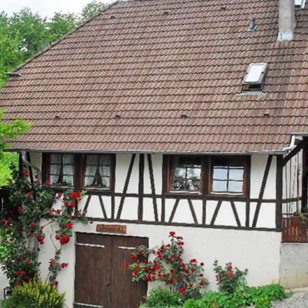 Schlossberghof Schnellingen, hotel en Haslach im Kinzigtal