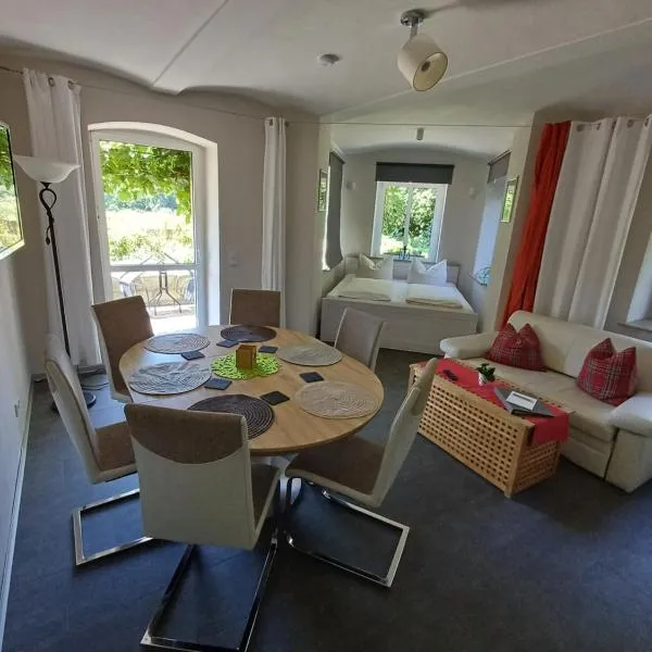 Plantagengut Hosterwitz, hotel v Drážďanech