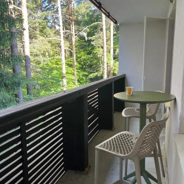 Chamkoria Forest View & Spa Apartment, ξενοδοχείο στο Μπόροβετς