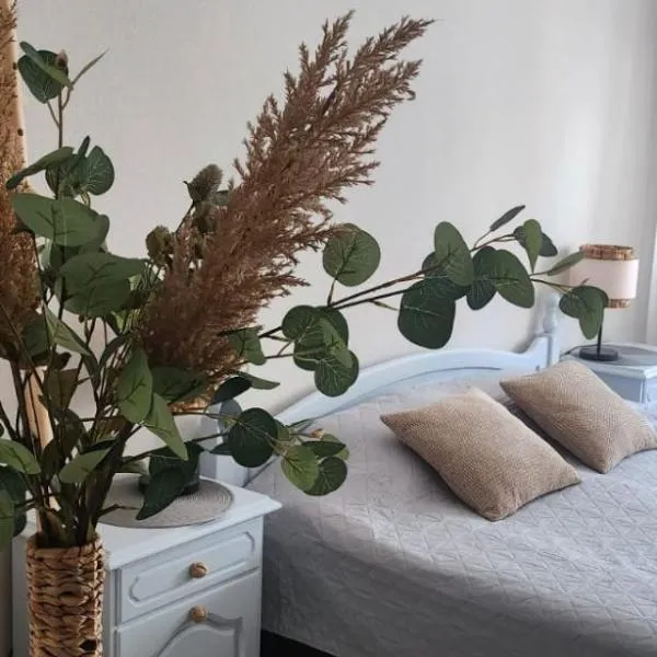 Elkonu street apartment, khách sạn ở Liepāja