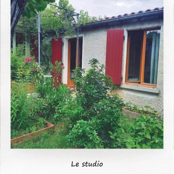 Petit studio avec jardin à 10 mn d'Avignon, hotel in Entraigues-sur-la-Sorgue