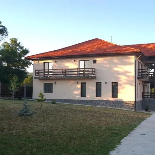 Agropensiunea Anovia, hotel in Aninişu din Deal