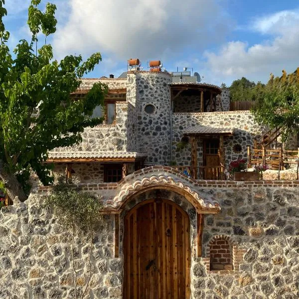 LUXURY STONE VILLA with SALT WATER POOL AND JACUZZI、Kayakoyのホテル