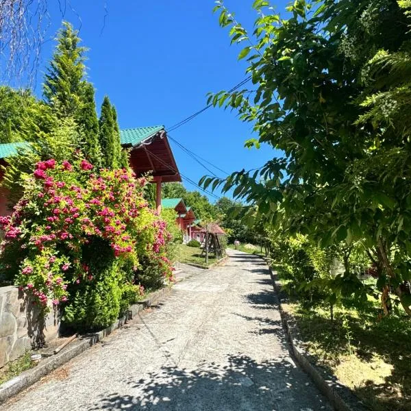 Pensiunea Dealul Hera, hotel in Rona de Sus