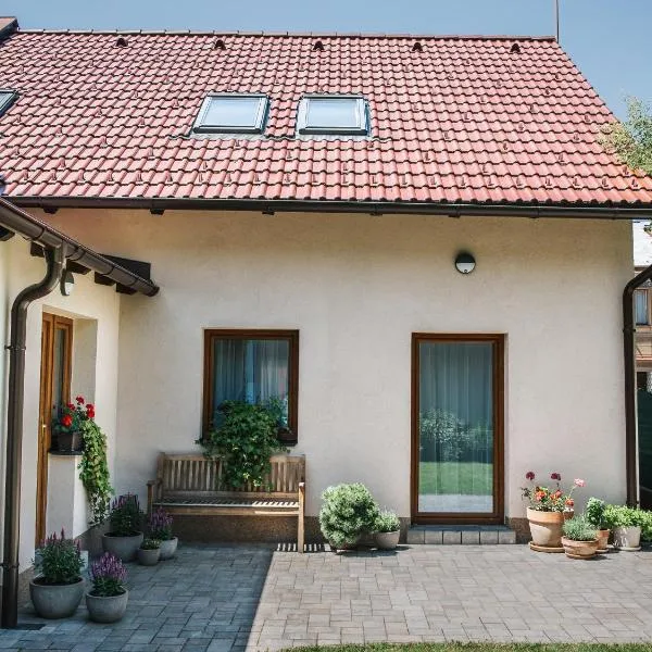 Rodinný dům Alois, hotel in Hronov