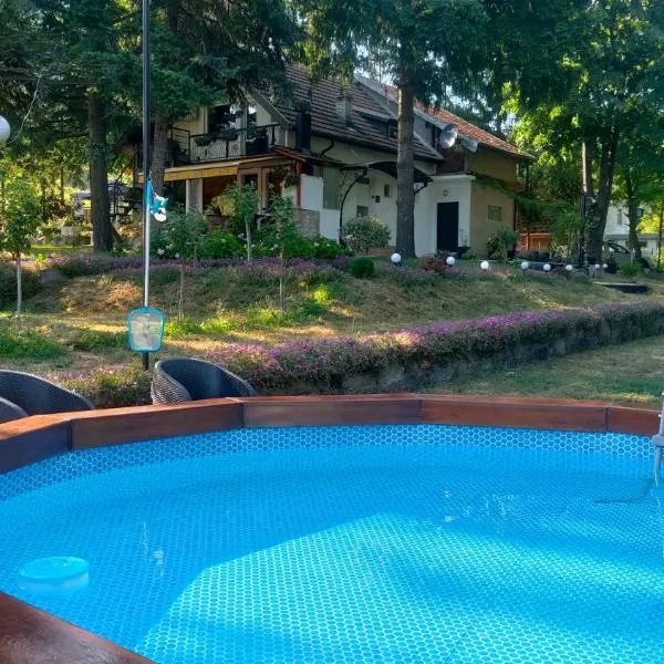 Vila Jezerski raj Borsko jezero, hotel v destinaci Bor
