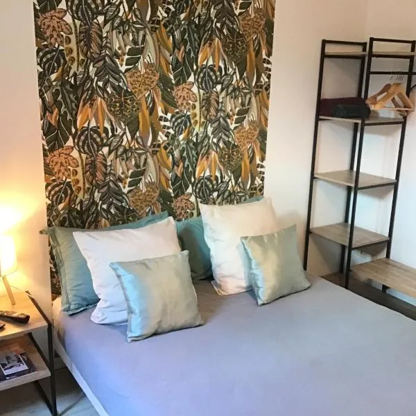 Chambre Cosy 1, hotel in Montauban
