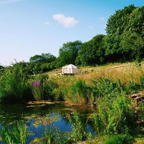 Quantock View Glamping Tent, hotel en Draycott