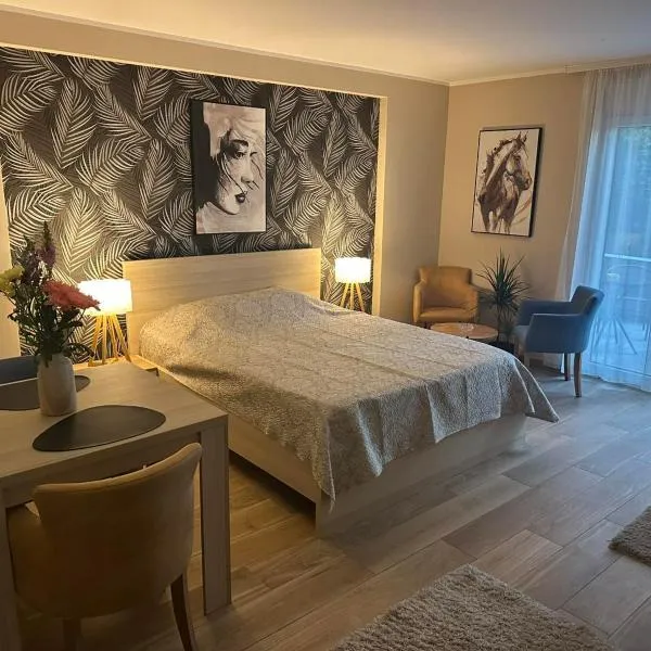 Apartmani Porta Infinitas, hotel v destinaci Vrnjačka Banja