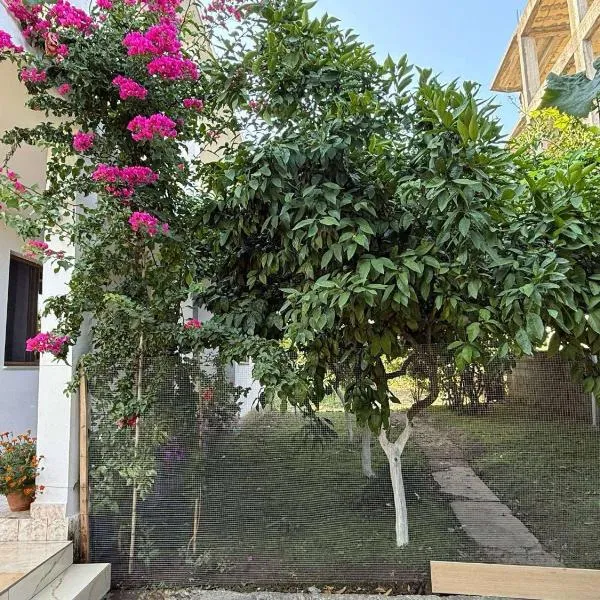 Guest House Tirana, hotel v destinaci Tirane