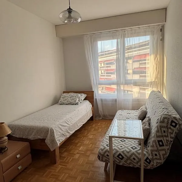 Cozy Room with view of Mt Jura, hotel in Geneva