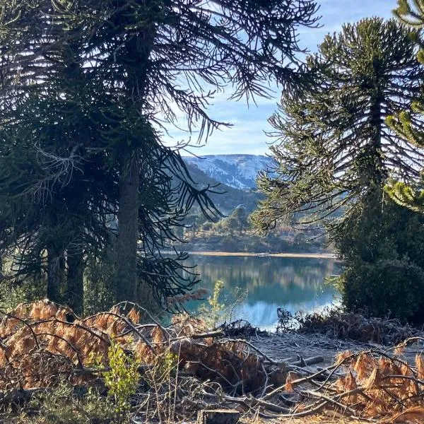 Cabaña Rodar 2, hotell i Villa Pehuenia