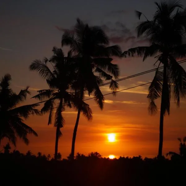 Lafyu Bali, hotell i Singaraja