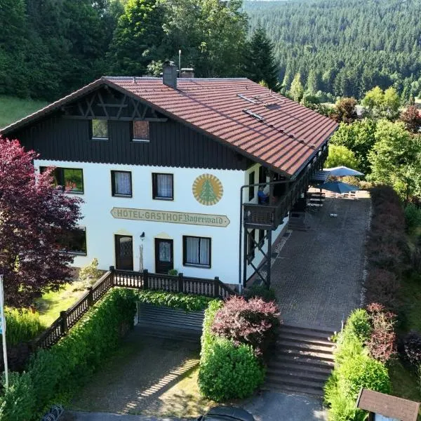 Landhotel Bayerwald, hotel v destinaci Grafling