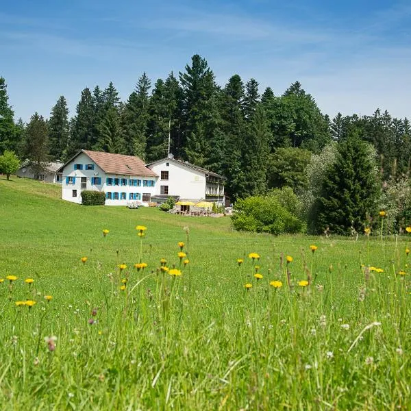 Berger's Bergsicht by edita, hotel v destinaci Scheidegg