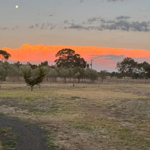 Farm Stay, Feed Sheep & Relax, hotel v destinaci Diggers Rest