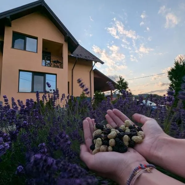 Pensiunea Teona, hotell sihtkohas Târgu Ocna
