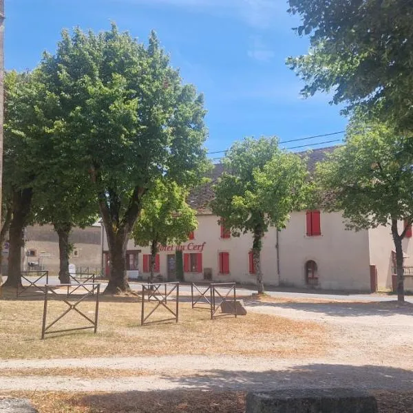 Hôtel du Cerf, hotel v destinaci La Guerche-sur-lʼAubois