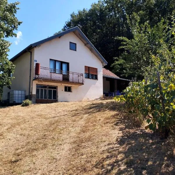 Kuca Denic, hotel in Svrljig