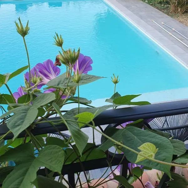La Gouillette en Camargue, hotel in Bellegarde