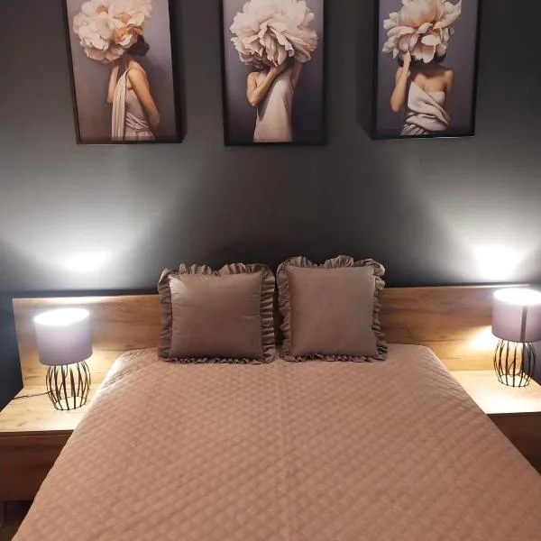 Apartament Kossaka, hotel di Elblag