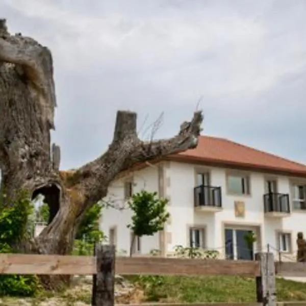 Pepiño de Tomonte, hotel in Atrave