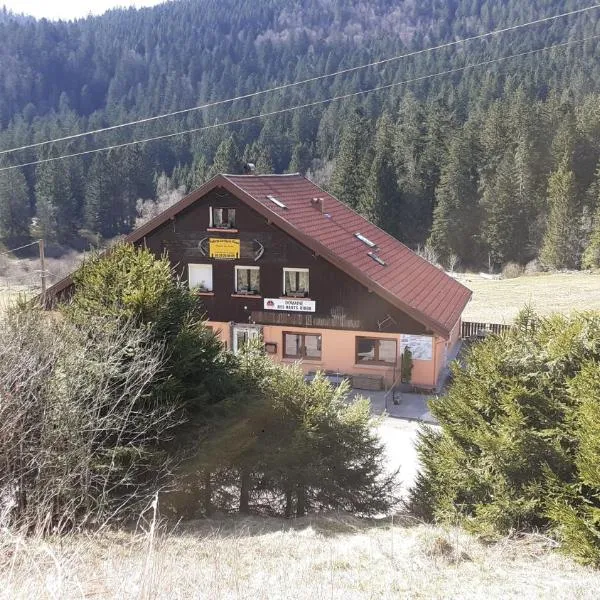 Domaine Des Hauts Viaux, Hotel in La Bresse