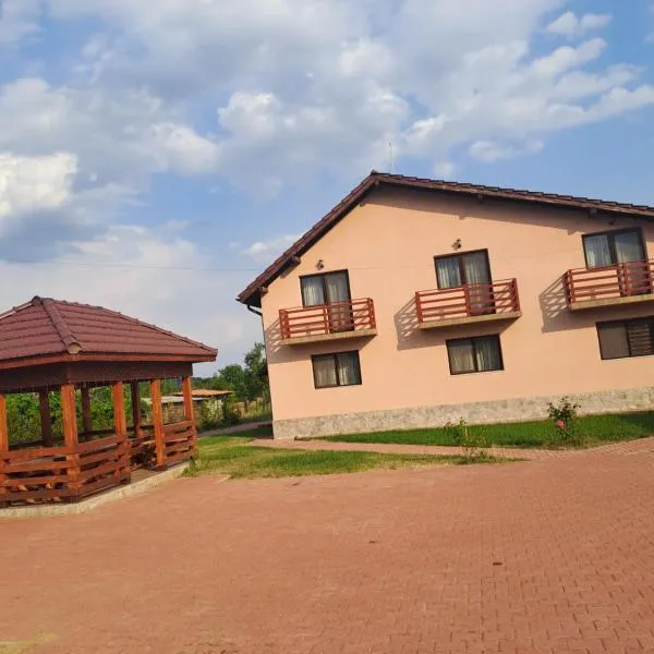 Pensiunea Agroturistica Andi, hotel in Polovragi