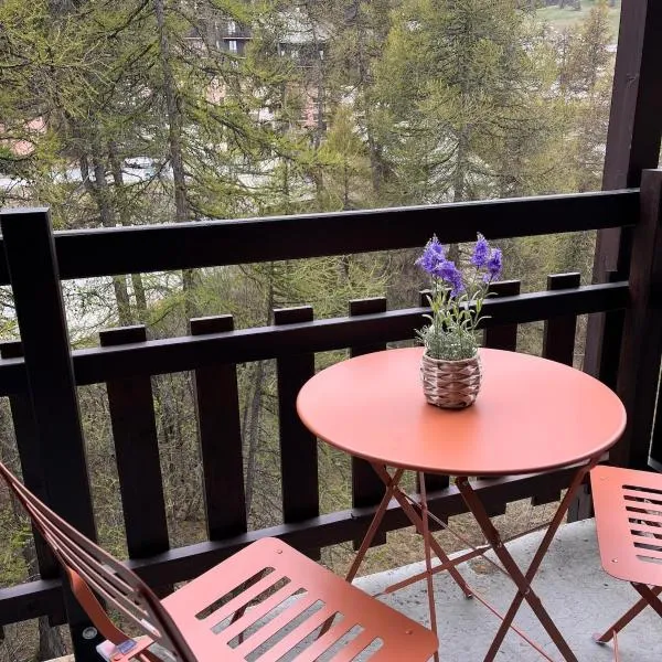 Vue montagne, proche remontées mécaniques et commodités, Risoul, hotel in Risoul