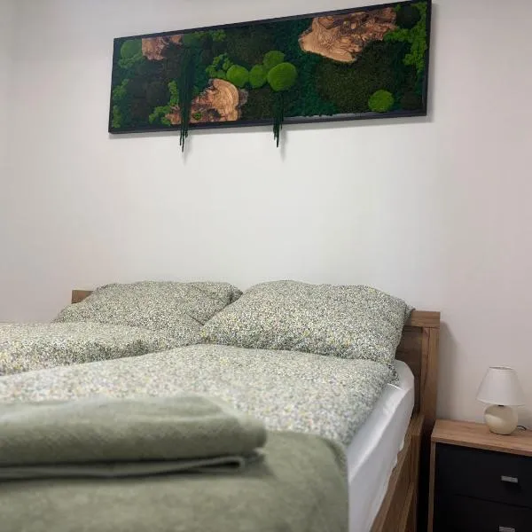 Kincses Sziget Apartman, hotel in Szőce