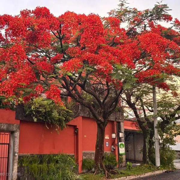 Arbol de Fuego Eco-hotel, hotel in San Salvador
